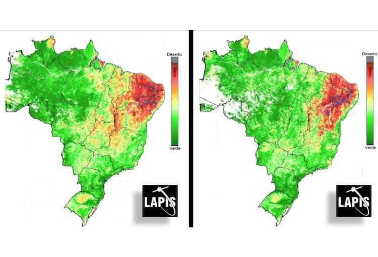 Laboratório de Processamento de Imagens da Ufal/Divulgação Laboratório de Processamento de Imagens da Ufal/Divulgação