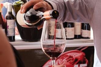 Festival Vinho na Vila chega � terceira edi��o