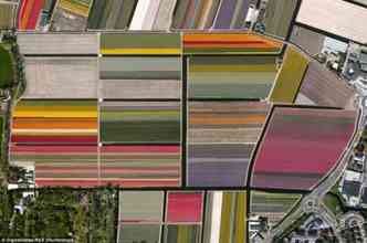 Veja a maravilha do jogo de cores nos campos de tulipa em Lisse, na Holanda(foto: Dailyoverview.com/Reproduo)