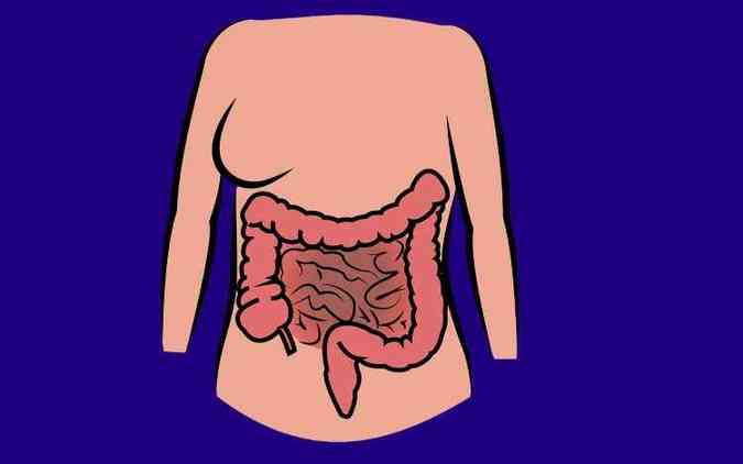 Doenas inflamatrias do intestino no tm cura, mas possuem tratamento e diagnstico fcil por meio de exames(foto: Pixabay)