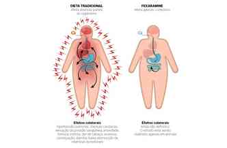 Clique para ampliar e comparar os efeitos dos inibidores de apetite(foto: Salk Institute for Biological Studies/Divulgao)
