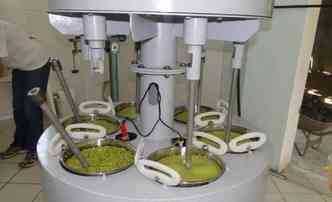 O leo  extrado do abacate por meio da centrifugao ou pela prensagem, tal qual  feito com o azeite de oliva(foto: Epamig/Divulgao)