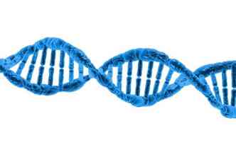 Sabia que em 4 gr de DNA  possvel guardar todos os dados produzidos pela humanidade em um perodo de um ano?(foto: Pixabay)