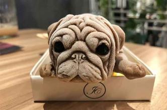 A curiosa sobremesa em forma de cãozinho da raça shar-pei, criada num restaurante de Taiwan, está fazendo sucesso nas redes sociais(foto: Instagram/Chen.Min.Lee/Reprodução) A curiosa sobremesa em forma de cãozinho da raça shar-pei, criada num restaurante de Taiwan, está fazendo sucesso nas redes sociais(foto: Instagram/Chen.Min.Lee/Reprodução)