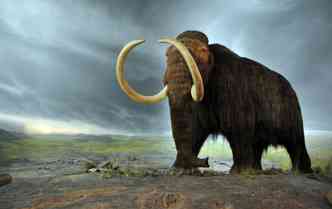 Cientistas americanos esto a um passo de clonar e ressuscitar o mamute, animal que tem parentesco com o elefante e est extinto h quatro mil anos(foto: Pixabay)