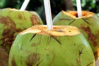 Nem todos sabem, mas os benefcios do coco verde vo alm da gua gelada que mata a sede no calor do Vero(foto: Pixabay)