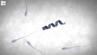 A estrutura, que se move como um parafuso, consegue se conectar ao espermatozoide e, assim, o ajuda a 'nadar' at o vulo, para que seja feita a fecundao(foto: YouTube/Reproduo)