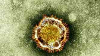 A MERS  causada por um coronavrus,  extremamente letal, e ainda no tem tratamento ou preveno(foto: Blog.sitata.com/Reproduo)