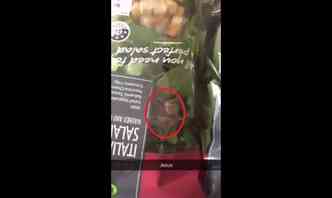 Que tal encontrar uma aranha enorme dentro da salada 'pronta para comer' que comprou no supermercado?(foto: YouTube/Reproduo)
