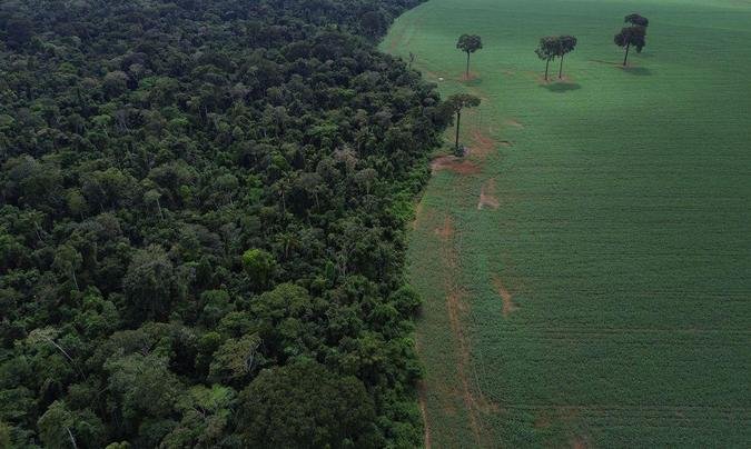 Entre os estados que mais observaram diminui��o das perdas est�o o Amazonas, Mato Grosso, Mato Grosso do Sul, Acre e Roraima(foto: Fernando Fraz�o/Ag�ncia Brasil)