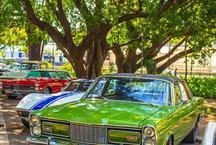 BH Classic Auto Fest re�ne carros antigos e shows no Parque Municipal