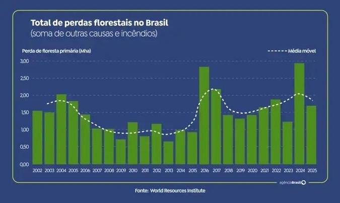 Total de perdas florestais no Brasil (foto: Arte/EBC)
