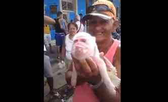 A malformao do filhote de porco, que nasceu numa cidade cubana, causou estranheza na populao local por lembrar o rosto de um macaco(foto: YouTube/Reproduo)