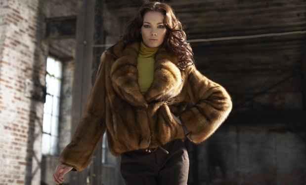 Williamhharrisfurs.com/Reprodução Williamhharrisfurs.com/Reprodução