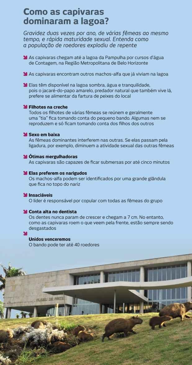Marcos Michelin/EM/D. A Press Marcos Michelin/EM/D. A Press