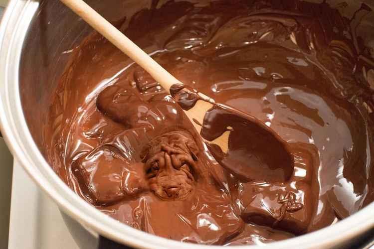 Instagram/dogs_infood/Reprodução Instagram/dogs_infood/Reprodução
