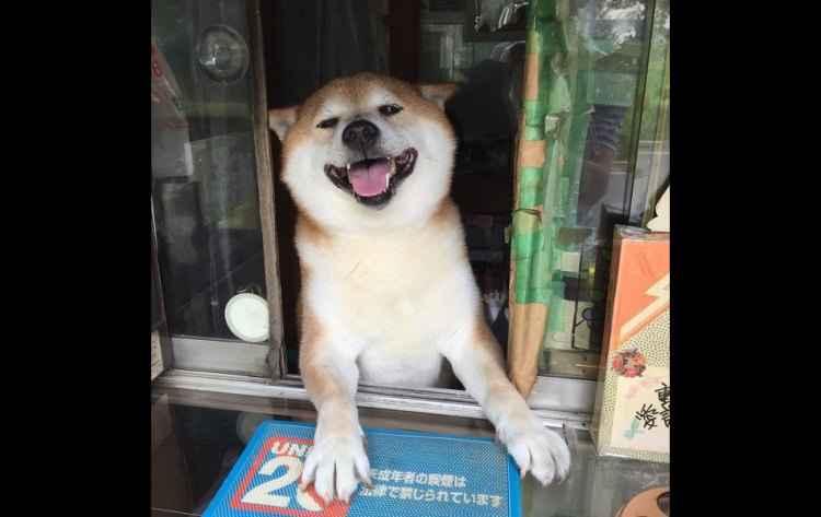 Instagram/doggy134/Reprodução Instagram/doggy134/Reprodução