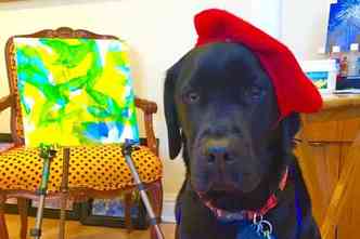 O 'pintor' canino DogVinci posa ao lado de sua obra Golden Blue (azul dourado, em traduo livre), que foi feita com a tcnica acrlico sobre tela(foto: Facebook/DaggerCanineArtist/Reproduo)