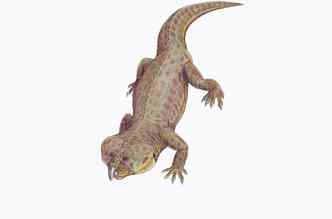 O brasinorrinco, espcie de rincossauro que viveu no Rio Grande do Sul h centenas de milhares de anos, era um animal diferenciado, especialmente devido a seu bico sseo(foto: Divulgao)