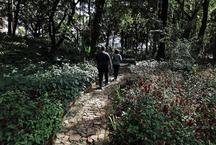 Trilha das Borboletas  reaberta no Parque Municipal de BH