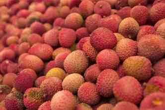 A lichia  uma fruta muito comum na sia e possui uma substncia chamada hipoglicina, que inibe a sntese da glicose em nosso organismo(foto: Pixabay)