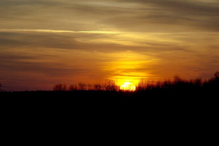 Pixabay Pixabay