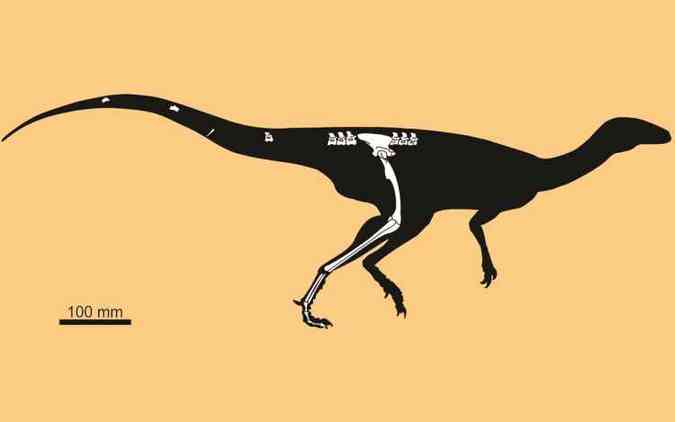 A ova espcie de dinossauro descoberta na regio sul do Brasil foi chamada de Nhandumirim waldsangae e  uma 