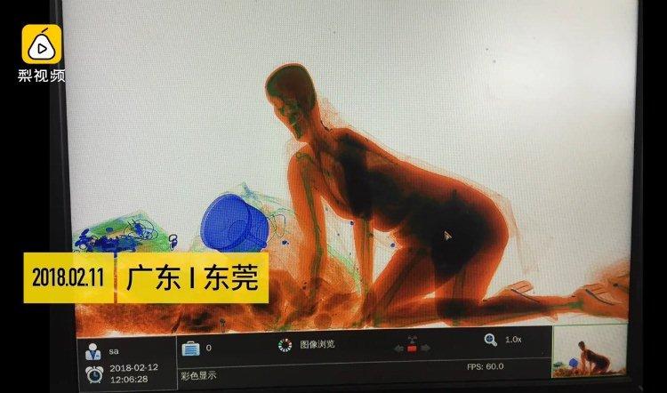 Pear Video/Laugh ha ha ha/Reprodução Pear Video/Laugh ha ha ha/Reprodução