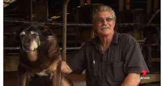 A cadela Maggie, que teria vivido por 30 anos, ao lado de seu companheiro, o fazendeiro australiano Brian McLaren(foto: Facebook/7NewsPerth/Reproduo)
