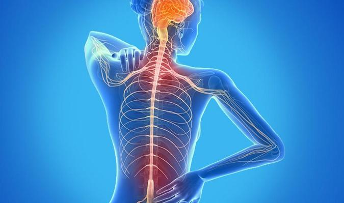 A esclerose múltipla afeta o sistema nervoso central por meio de um processo inflamatório autoimune(foto: Divulgação/Hapvida) A esclerose múltipla afeta o sistema nervoso central por meio de um processo inflamatório autoimune(foto: Divulgação/Hapvida)