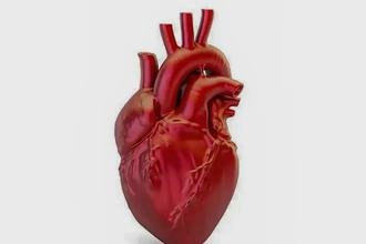 A cada 72 segundos, uma pessoa morre por doen�a cardiovascular no pa�s