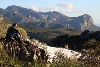 Descoberta na Serra do Espinha�o revela nova esp�cie de planta