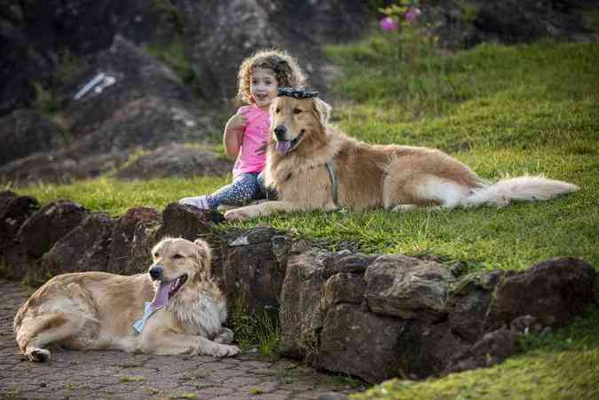 As cadelinhas Nina, de 4 anos e Zoe, de 3, da raa golden retriever, junto com a pequena Bia, de 4 anos, fazem sucesso no Instagram: pgina conta com 34 mil seguidores(foto: Click Pets/Sonhar Fotografia/Divulgao)