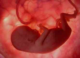 Segundo o especialista da Fiocruz, a gestao aps os 40 anos pode gerar diversos riscos aos bebs, como aborto espontneo, sndrome de Down, macrossomia e anomalias placentrias(foto: Tuasaude.com/Reproduo)