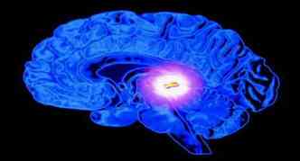 Situada no meio do crebro, entre os dois hemisfrios, a glndula pineal ajuda o corpo na regulao do sono, mas tambm  chamada de 'terceiro olho' por muitas religies(foto: Evolutionezine.net/Reproduo)