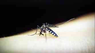 Apesar de no ser comum, a febre amarela, transmitida nas cidades pelo famoso Aedes aegypti, pode afetar o corao e, neste caso, segundo o especialista, costuma ser muito grave(foto: Pixabay)