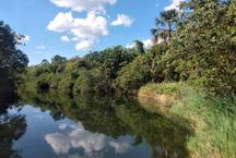 Projeto de carbono ser implantado em rea de cerrado no Norte de Minas
