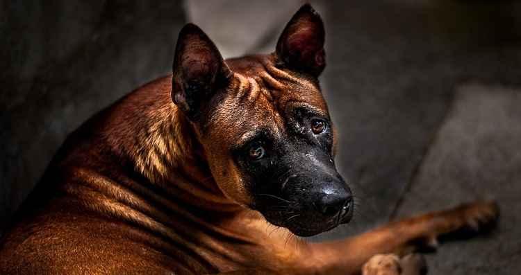 Pixabay Pixabay