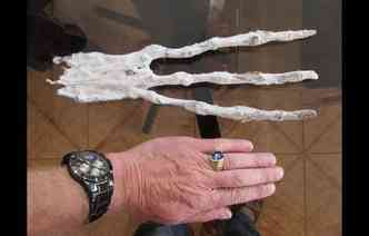 Uma mo mumificada, com apenas trs longos dedos, de aparncia aliengena, foi encontrada num deserto do peru em janeiro de 2016(foto: Disclose.tv/Reproduo)
