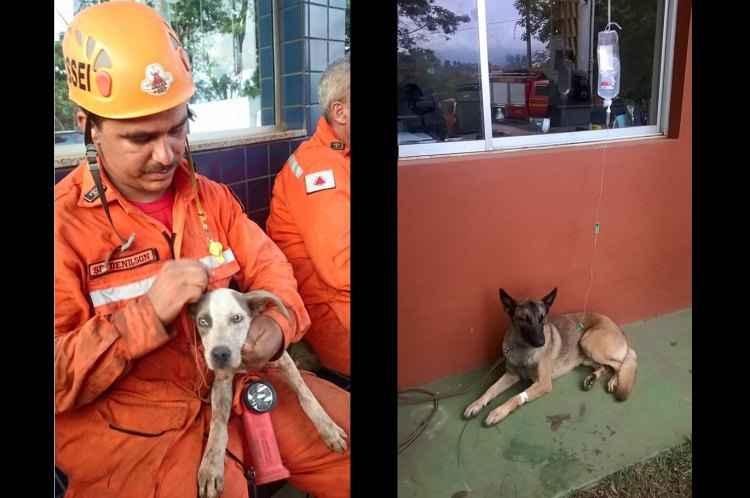 Facebook/bombeiros.minasgerais/Reprodução Facebook/bombeiros.minasgerais/Reprodução