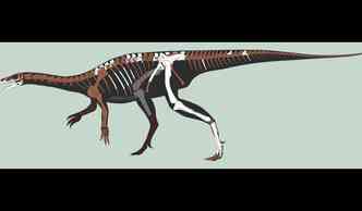 Ilustração como era a Bagualosaurus agudoensis, espécie que seria a 