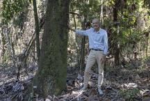 Mineiro  recordista nacional em reproduo de aves ameaadas de extino