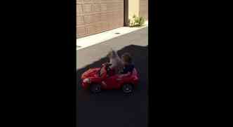 O vdeo da cadela 'dirigindo' o carrinho eltrico com uma criana como passageiro est fazendo sucesso no YouTube(foto: YouTube/Reproduo)