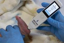 UFMG bate recorde de dep�sitos de patentes em 2025