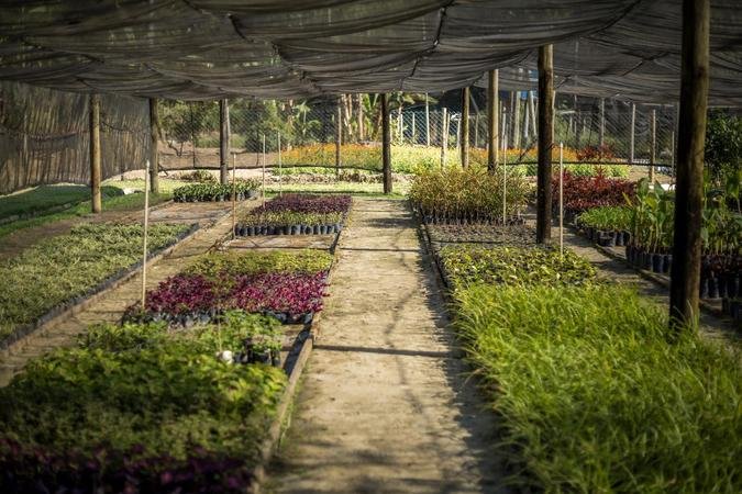 A RHI Magnesita mantém viveiros ambientais em municípios da Bahia e de Minas Gerais; um dos destaques é o viveiro Flor do Sertão, em Santaluz (BA), com capacidade de produção de 8 mil mudas por ano (foto: RHI Magnesita/Divulgação) A RHI Magnesita mantém viveiros ambientais em municípios da Bahia e de Minas Gerais; um dos destaques é o viveiro Flor do Sertão, em Santaluz (BA), com capacidade de produção de 8 mil mudas por ano (foto: RHI Magnesita/Divulgação)
