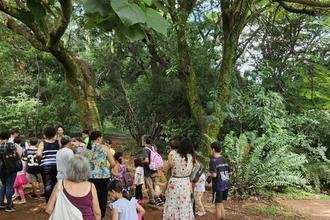Parques municipais celebram anivers�rios com trilhas ecol�gicas gratuitas