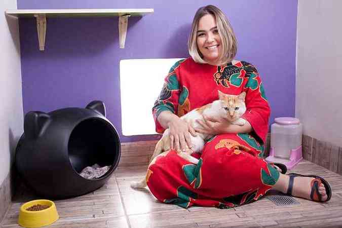 Pet sitter ou hotelzinho: onde deixar o gato quando viajar?