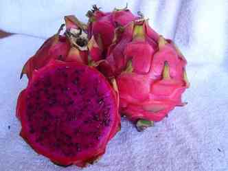A pitaya ou fruta drago produzida em Minas  da variedade vermelha, e  rica em nutrientes, incluindo antioxidantes e mega 3(foto: Emater-MG/Divulgao)