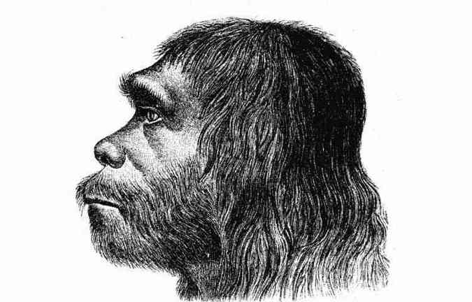 Um estudo americano descobriu que os homens neandertais nos transmitiram genes capazes de combater o vrus da Aids(foto: Wikimedia/Hermann Schaaffhausen/Reproduo)