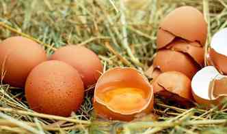 Segundo estudo americano, aps a musculao, comer o ovo inteiro  mais eficaz na construo dos msculos do que apenas as claras(foto: Pixabay)